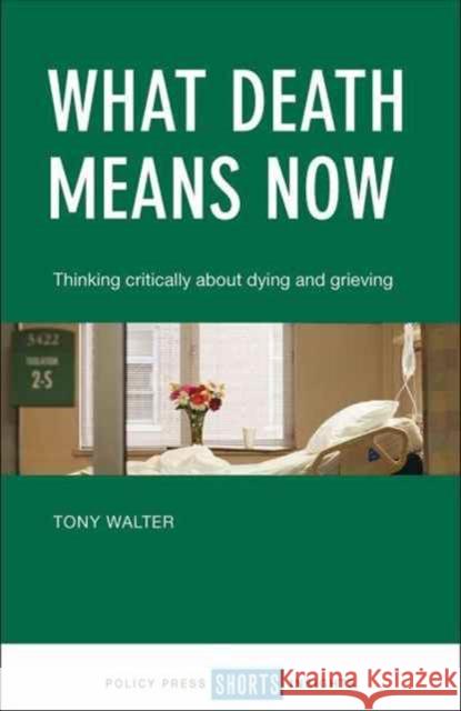 What Death Means Now: Thinking Critically about Dying and Grieving Tony Walter 9781447337362