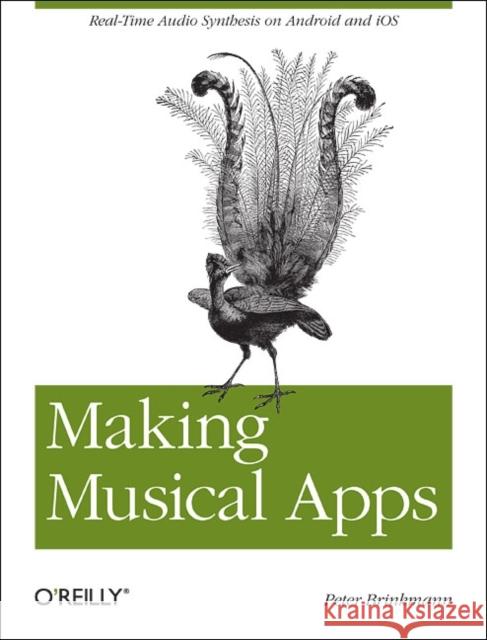 Making Musical Apps: Real-Time Audio Synthesis on Android and IOS Brinkmann, Peter 9781449314903 O'Reilly Media