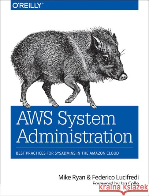 AWS System Administration: Best Practices for Sysadmins in the Amazon Cloud Ryan, Mike 9781449342579 John Wiley & Sons