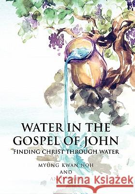 Water in the Gospel of John: Finding Christ Through Water Baek, Andy 9781450086332