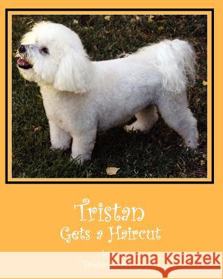 Tristan Gets a Haircut: A Tristan and Trudee Story Trudee Lewis Joanne Yates Beth Rodda 9781453822302 Createspace