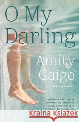 O My Darling Gaige, Amity 9781455553563 Twelve