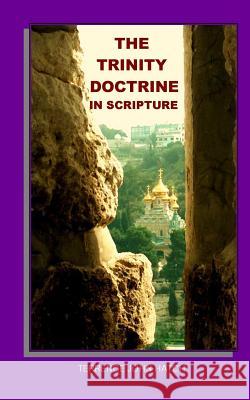 The Trinity Doctrine in Scripture: The Biblical case for one of the most important Christian beliefs. Hatch, Terrence John 9781460963524