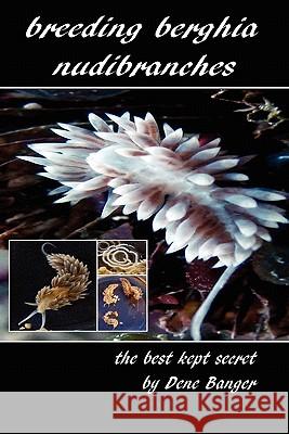 Breeding Berghia Nudibranches the best kept secret Banger, Dene 9781461065678 Createspace