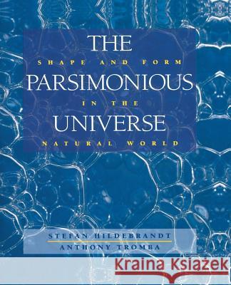 The Parsimonious Universe: Shape and Form in the Natural World Stefan Hildebrandt Anthony Tromba 9781461275329