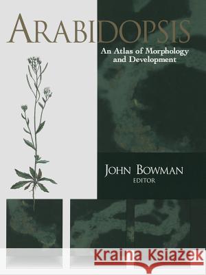 Arabidopsis: An Atlas of Morphology and Development Bowman, John 9781461276005