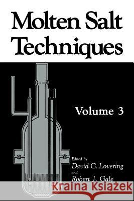 Molten Salt Techniques: Volume 3 Gale, Robert J. 9781461290315 Springer