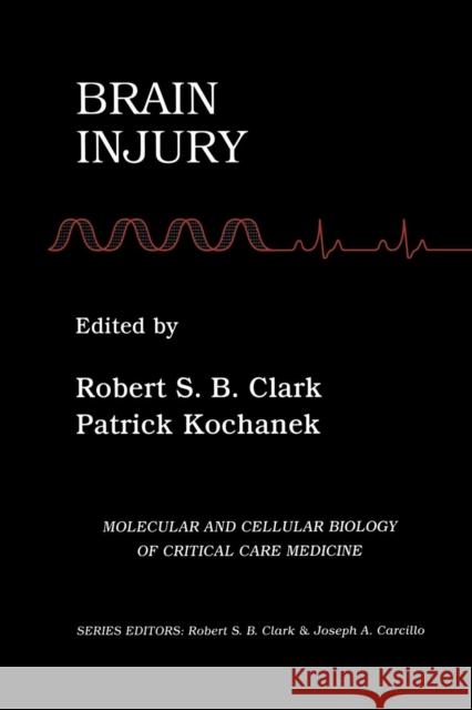 Brain Injury Robert S Patrick Kochanek Robert S. B. Clark 9781461356950 Springer