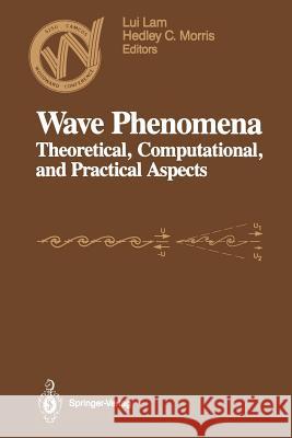 Wave Phenomena: Theoretical, Computational, and Practical Aspects Lam, Lui 9781461388586 Springer