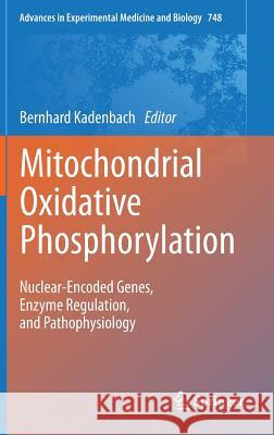 Mitochondrial Oxidative Phosphorylation: Nuclear-Encoded Genes, Enzyme Regulation, and Pathophysiology Kadenbach, Bernhard 9781461435723 Springer