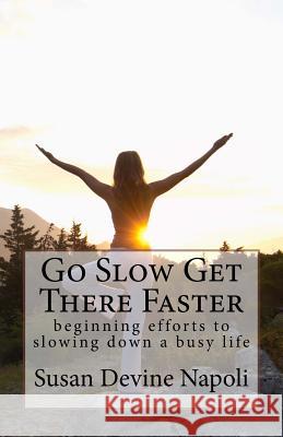 Go Slow Get There Faster Susan Devine Napoli 9781463594497