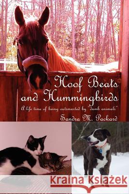 Hoof Beats and Hummingbirds: A life time of being outsmarted by 