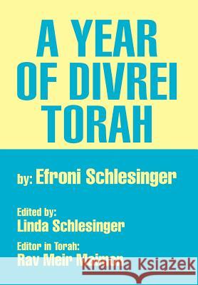 A Year of Divrei Torah Efroni Schlesinger 9781469199825 Xlibris Corporation