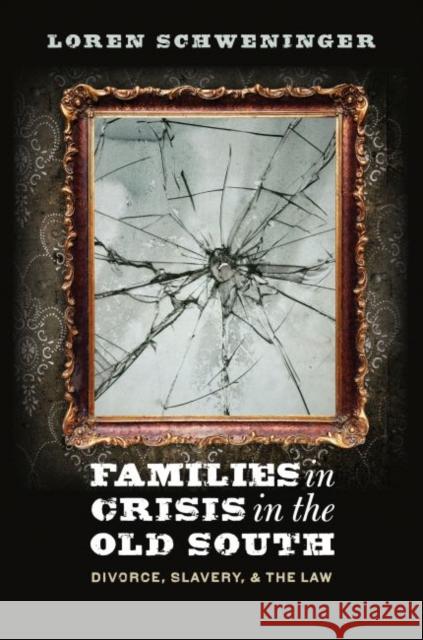 Families in Crisis in the Old South: Divorce, Slavery, and the Law Loren Schweninger 9781469619118 University of North Carolina Press