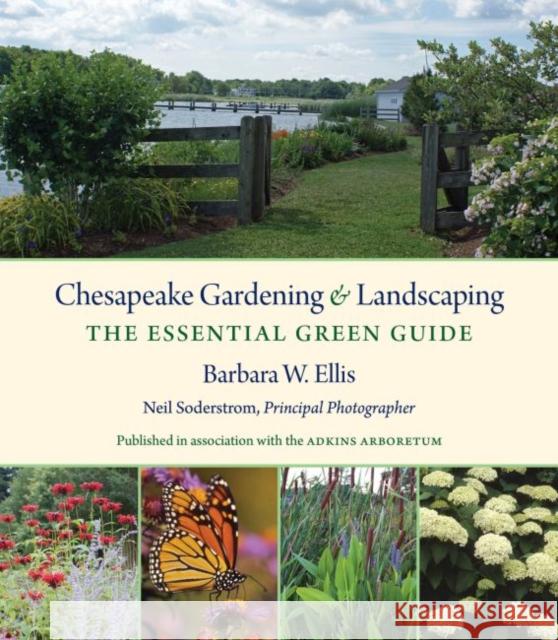 Chesapeake Gardening and Landscaping: The Essential Green Guide Barbara W. Ellis 9781469620978 University of North Carolina Press