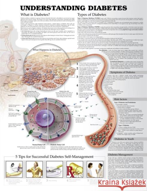Understanding Diabetes Anatomical Chart Anatomical Chart Company Jeff Unger, M.D.  9781469894928 Lippincott Williams and Wilkins