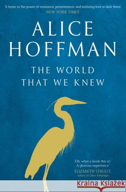 The World That We Knew Hoffman, Alice 9781471185854 Simon & Schuster Ltd
