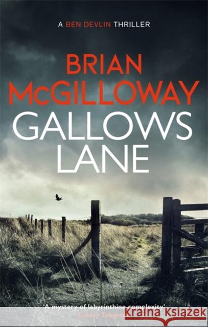 Gallows Lane: An ex con and drug violence collide in the borderlands of Ireland... Brian McGilloway 9781472133328