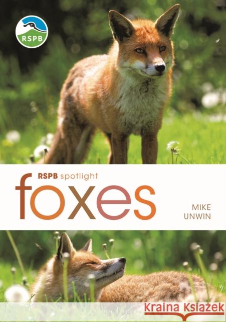 RSPB Spotlight: Foxes Mike Unwin 9781472982100