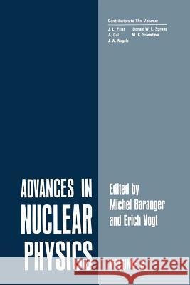 Advances in Nuclear Physics: Volume 8 Friar, J. L. 9781475744002 Springer