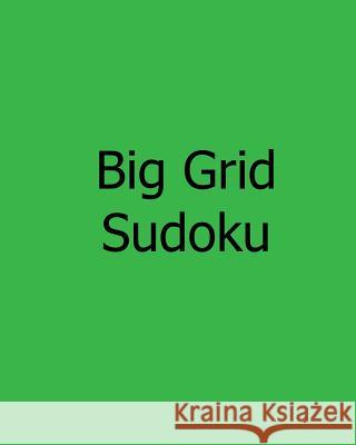 Big Grid Sudoku: Enjoyable, Large Print Puzzles James Roberts 9781478241973