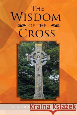 The Wisdom of the Cross Fr Anthony C. Mbanefo M 9781479704965 Xlibris Corporation
