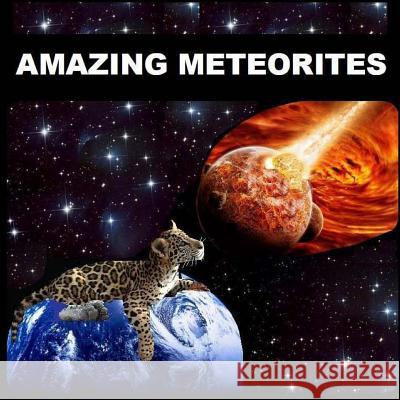 Amazing Meteorites Richard and Naira Matevosyan 9781480099913