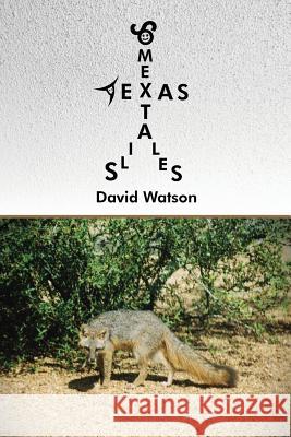 Some Texas Tails Tales David Watson 9781480901773