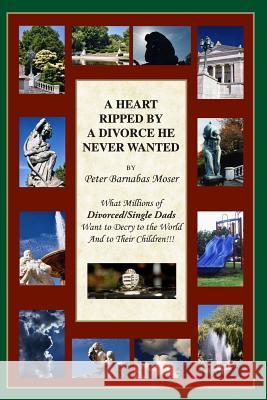A Heart Ripped By A Divorce He Never Wanted Moser, Peter B. 9781481002226 Createspace