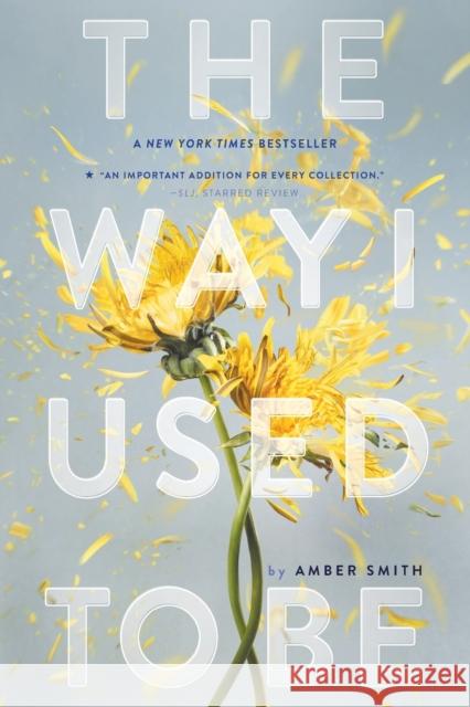 The Way I Used to Be Amber Smith 9781481449366 Margaret K. McElderry Books