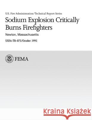 Sodium Explosion Critically Burns Firefighters: Newton, Massachusetts U. S. Fir J. Gordon Routley 9781482638141 Createspace