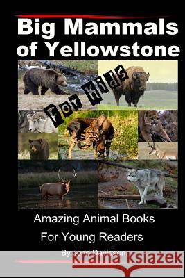 Big Mammals Of Yellowstone For Kids: Amazing Animal Books for Young Readers Davidson, John E. 9781484879313 Createspace