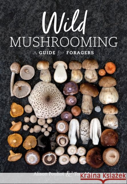 Wild Mushrooming: A Guide for Foragers Alison Pouliot Tom May 9781486311736 CSIRO Publishing