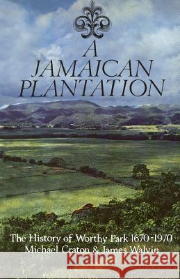 A Jamaican Plantation: The History of Worthy Park 1670-1970 Michael Craton James Walvin 9781487598198 University of Toronto Press, Scholarly Publis