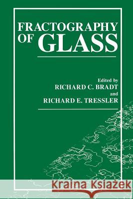 Fractography of Glass R. C. Bradt                              R. E. Tressler 9781489913272 Springer