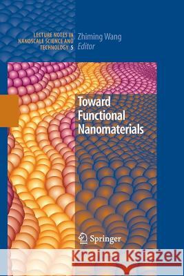 Toward Functional Nanomaterials Zhiming M Wang   9781489984845