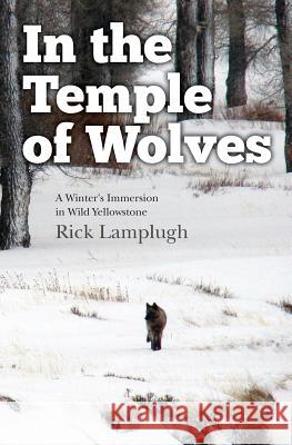 In the Temple of Wolves: A Winter's Immersion in Wild Yellowstone Rick Lamplugh 9781490372051 Createspace