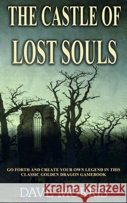 The Castle of Lost Souls Dave Morris 9781490526126