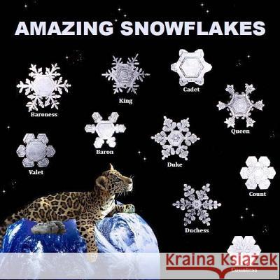 Amazing Snowflakes Richard Matevosyan Naira Matevosyan 9781490933856