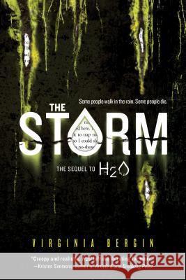 The Storm Virginia Bergin 9781492621003 Sourcebooks Fire