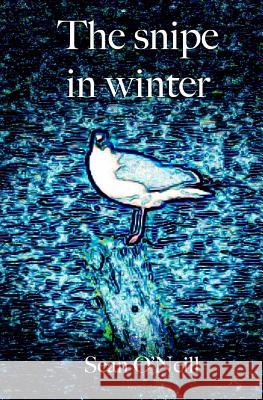 The snipe in winter O'Neill, Sean 9781492834243 Createspace