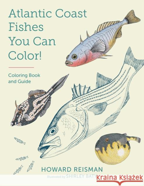 Atlantic Coast Fishes You Can Color!: Coloring Book and Guide Howard Reisman Shirley Baty 9781493065936