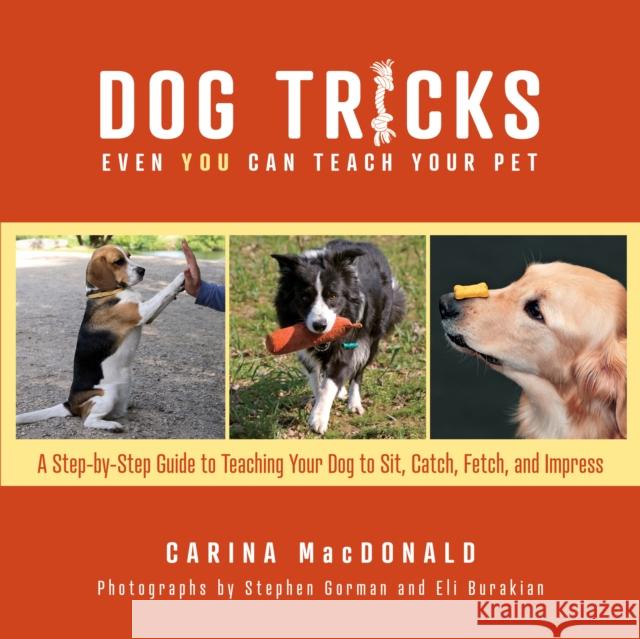 Dog Tricks Even You Can Teach Your Pet: A Step-By-Step Guide to Teaching Your Pet to Sit, Catch, Fetch, and Impress MacDonald, Carina 9781493069224 Lyons Press