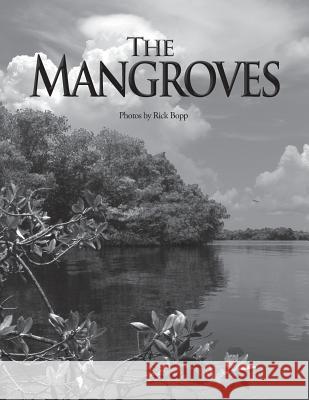 The Mangroves Rick Bopp 9781493524686 Createspace
