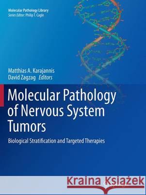 Molecular Pathology of Nervous System Tumors: Biological Stratification and Targeted Therapies Karajannis, Matthias A. 9781493947430 Springer