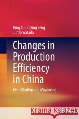 Changes in Production Efficiency in China: Identification and Measuring Xu, Bing 9781493953882 Springer