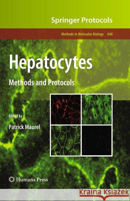 Hepatocytes: Methods and Protocols Maurel, Patrick 9781493957163