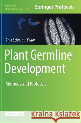 Plant Germline Development: Methods and Protocols Schmidt, Anja 9781493972852