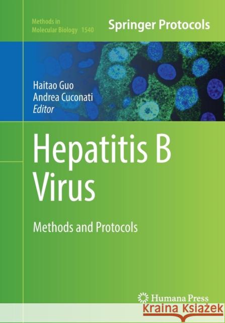Hepatitis B Virus: Methods and Protocols Guo, Haitao 9781493982776
