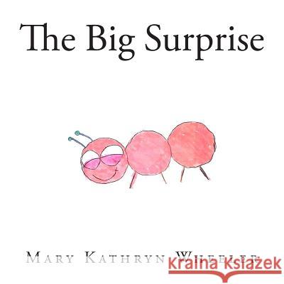 The Big Surprise Mary Kathryn Wheeler Haleigh Wheeler 9781496057440